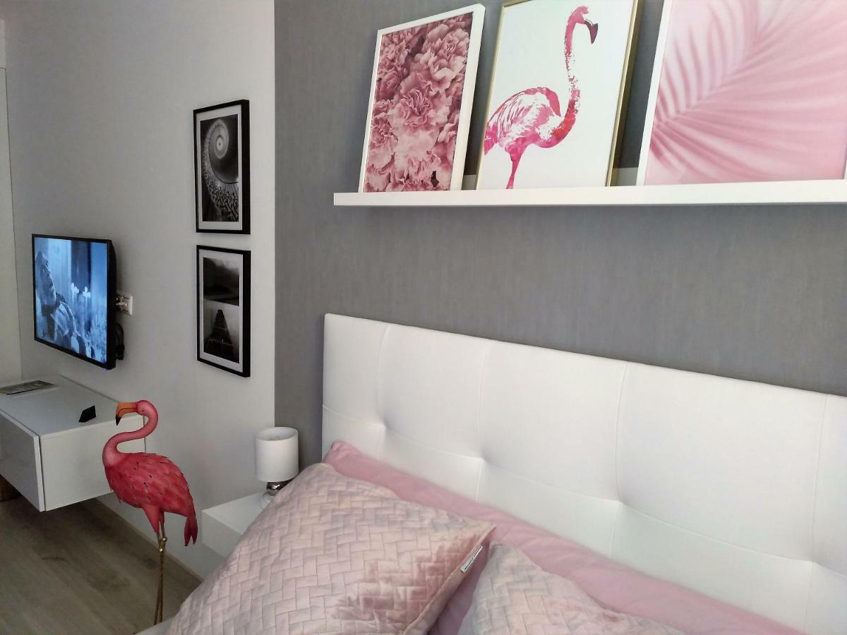 Estudio Alicante Centro المظهر الخارجي الصورة